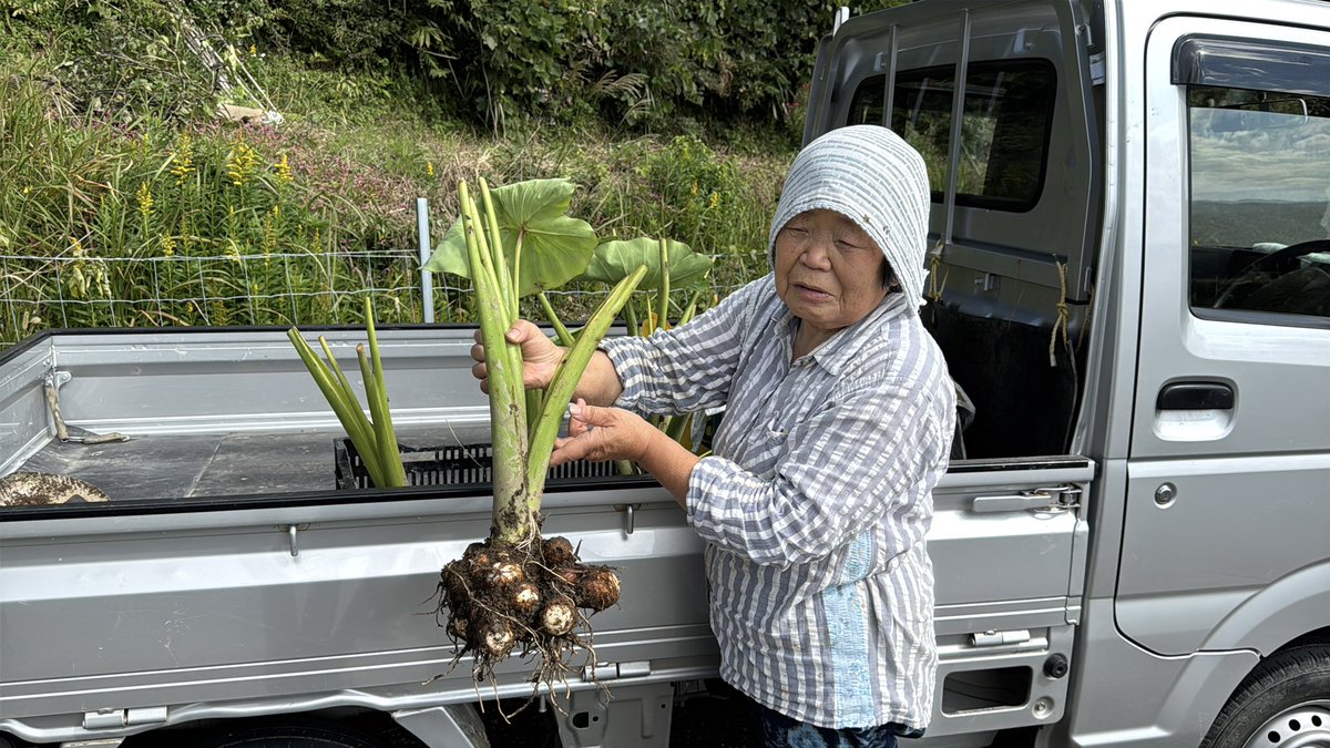 DJ TARO☆6/12 Fairy Night 7inch シングルリリース on X