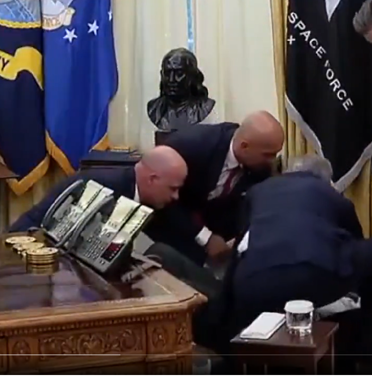 Shockadelic tweet media