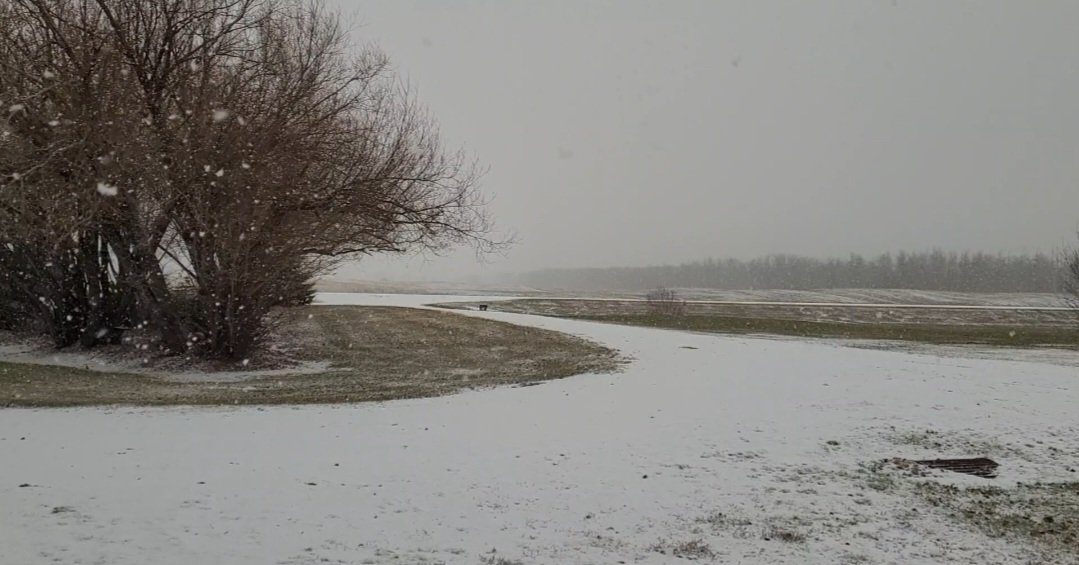 kabanck's tweet photo. @MurphTWN 8am and 3pm Nov 7th Not ready for this 
#Parkerview #Saskatchewan https://t.co/E0Ebu7LHfv