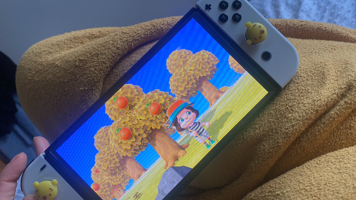 rainyrealxty's tweet photo. My plan for the afternoon!

Day 3 on my new island! Do I have any moots who would be willing to share fruit? Currently have oranges! 🥺 https://t.co/Lq2logZo4y