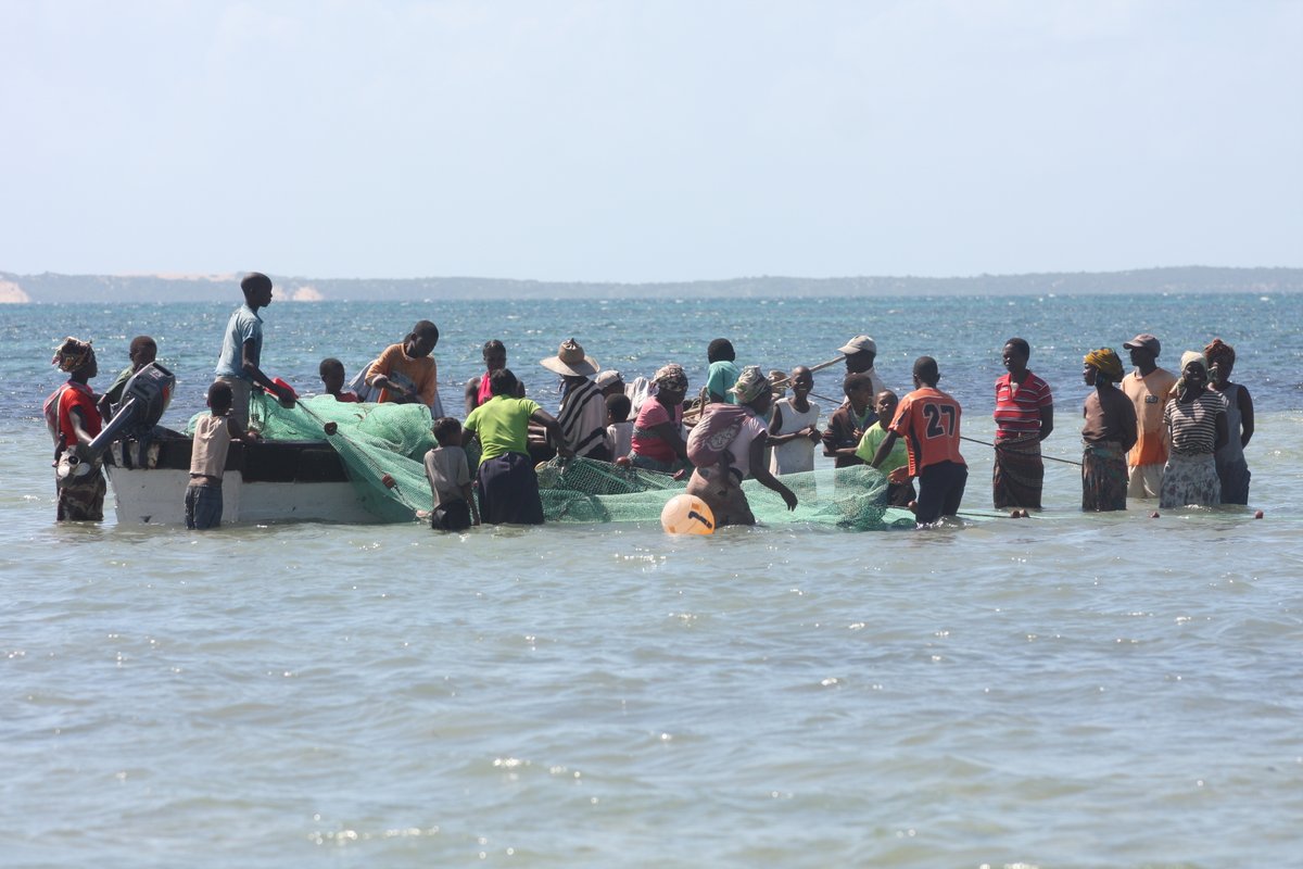 Anunciamos nuestra ruta a Mozambique, y algo de Sudáfrica, en mayo/junio de 2026. Como siempre con nosotros, viajes de autor con grupos pequeños a lugares que conocemos muy bien. Info 👇
viajesalpasado.com/ruta-sudafrica…