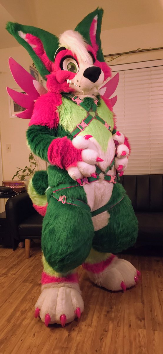 melon_corgo's tweet image. Puppy got some new hardware! Who&apos;s taking me on a walk!? 🐕‍🦺

#FursuitFriday
🪡 - @MoreFurLess
📷 - @LeonKitty1
🪢- @Crunchycurl