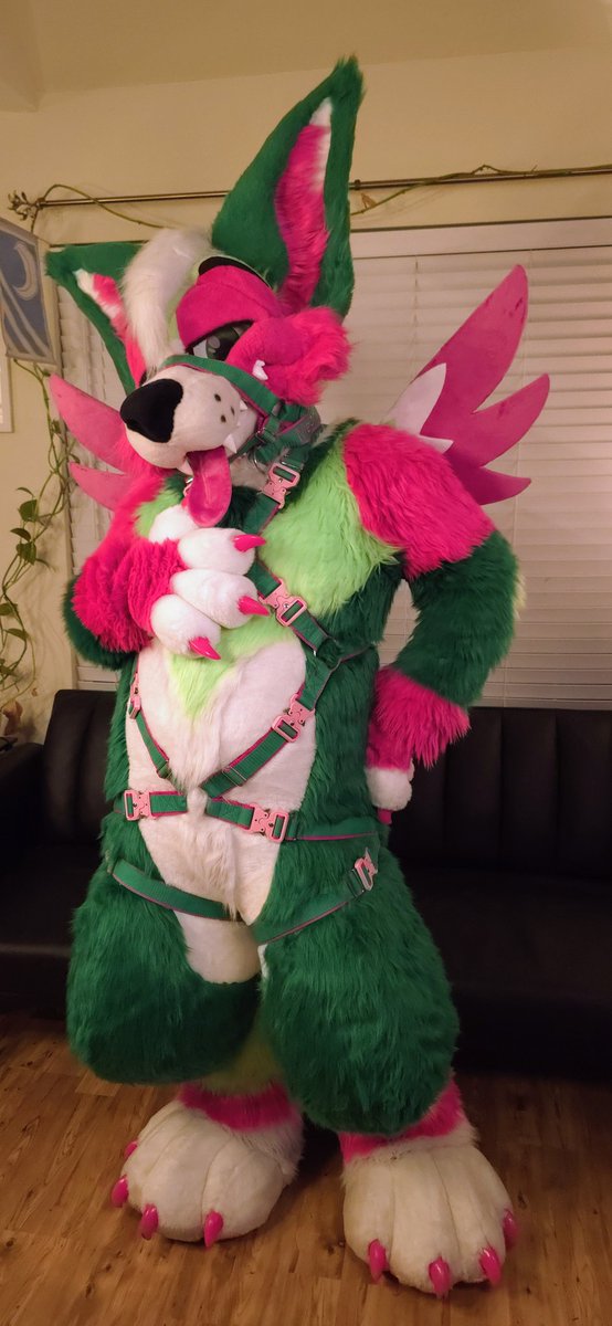 melon_corgo's tweet image. Puppy got some new hardware! Who&apos;s taking me on a walk!? 🐕‍🦺

#FursuitFriday
🪡 - @MoreFurLess
📷 - @LeonKitty1
🪢- @Crunchycurl
