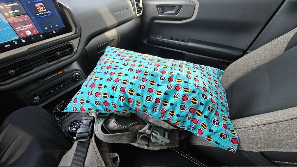 The little pillowcase I sewed worked great on the red eye flight. Window seat ftw!