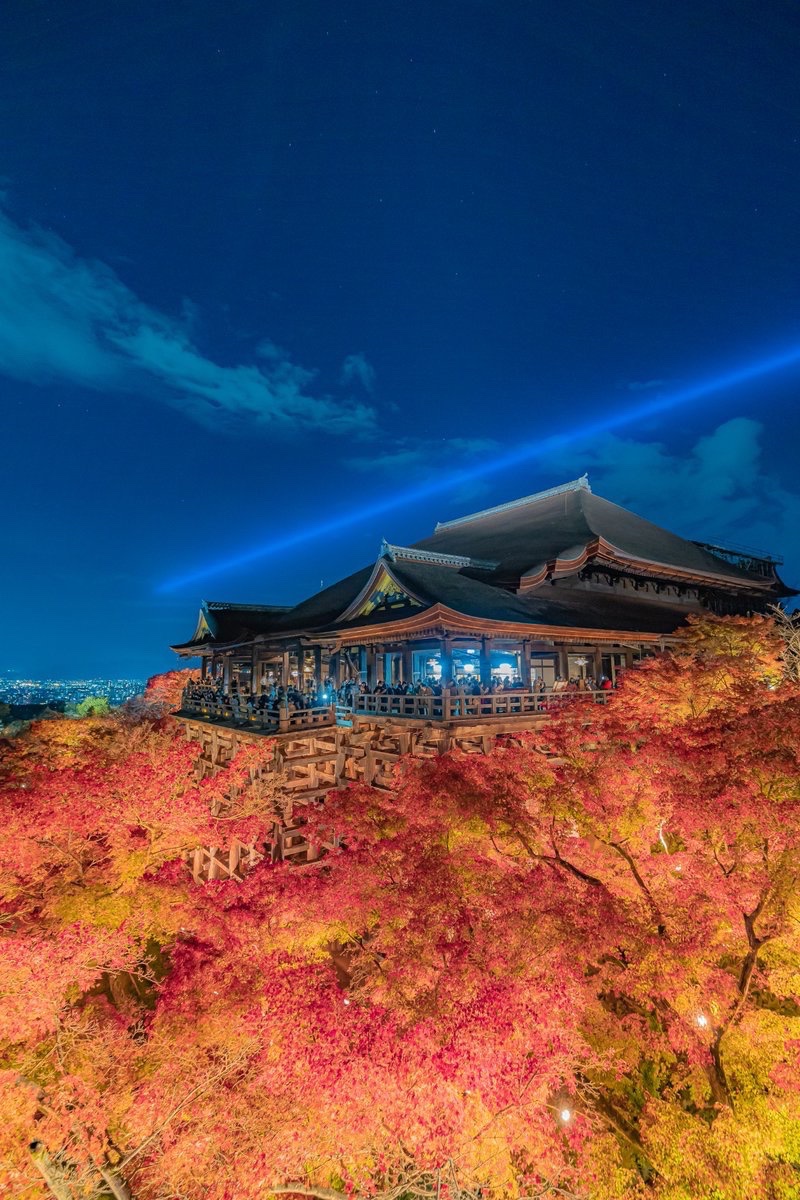 紅葉の海に浮かぶ秋の清水寺