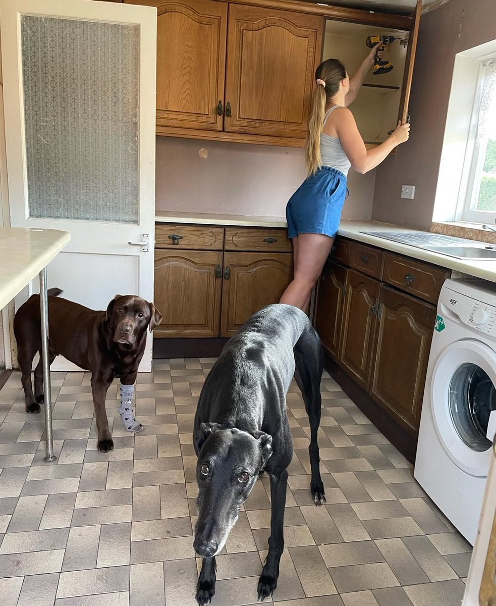 onewaayyy's tweet photo. So I’m transforming my kitchen, new home, new life 😌🤗 https://t.co/KfDxtuTY9P