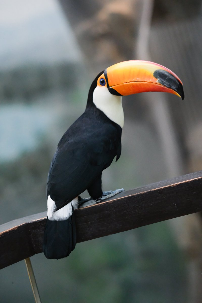 あやの★プロフご一読下さい★ページ★ あやの on X