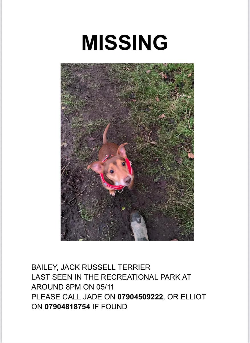MissingPetsGB's tweet image. 🐕🧨 #Missing Jack Russell BAILEY spooked by #fireworks
Missing since Wednesday evening 5 November 2025
Recreation park, Strand on the Green #W4 #Chiswick #London
Was frightened of the fireworks and initially ran into the bushes and hasn't been seen since