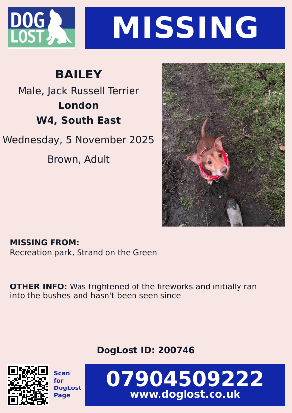 MissingPetsGB's tweet image. 🐕🧨 #Missing Jack Russell BAILEY spooked by #fireworks
Missing since Wednesday evening 5 November 2025
Recreation park, Strand on the Green #W4 #Chiswick #London
Was frightened of the fireworks and initially ran into the bushes and hasn't been seen since