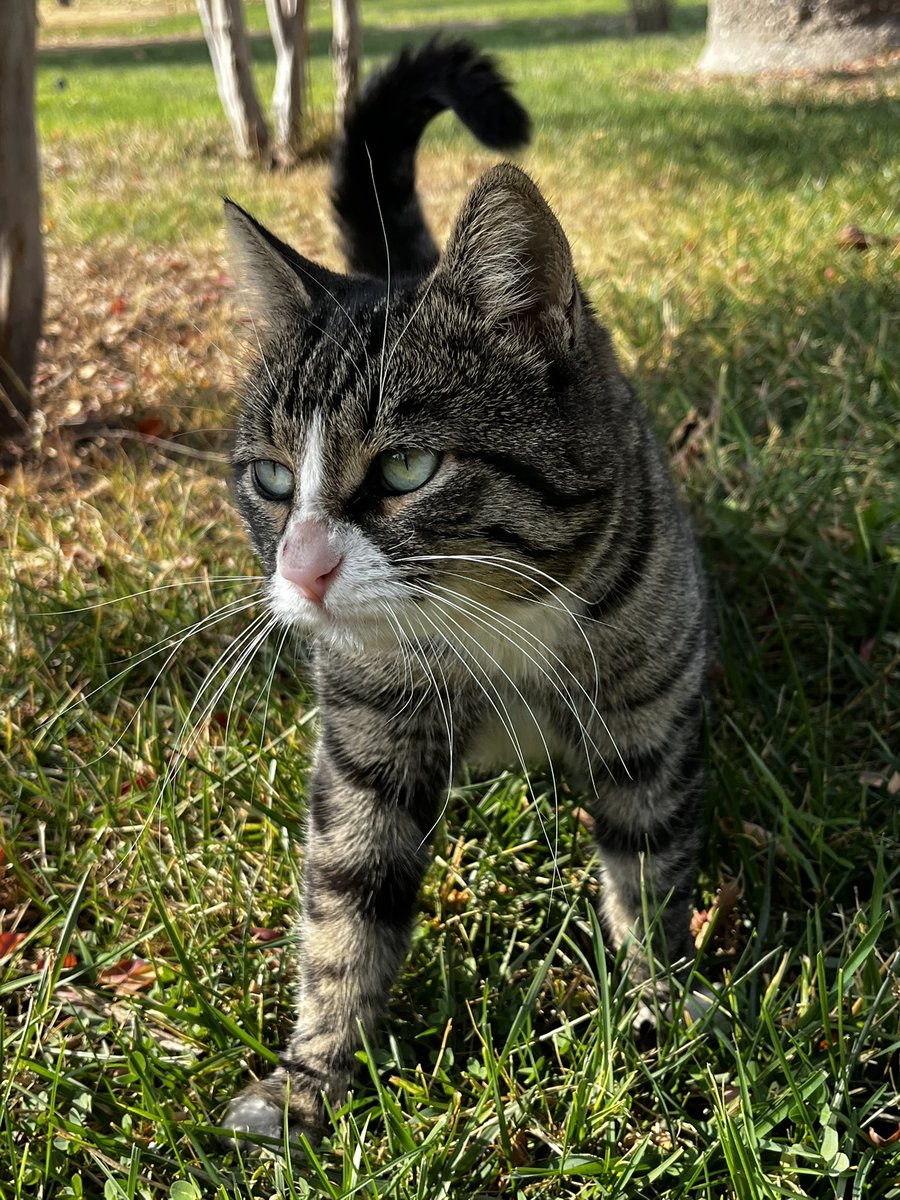Derdimi hissetmişçesine usulca yanıma sokulup beni dinledi.✨