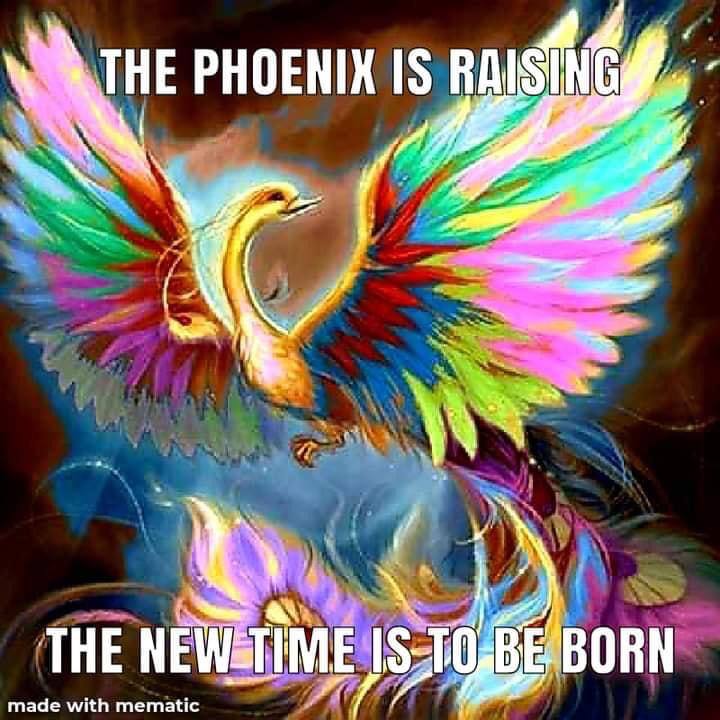 tibyfunk's tweet image. Put your emotions on the side,

The moon is leading the ride,

No you&apos;re not going to die,

Because the phoenix always rise.

_Tiby