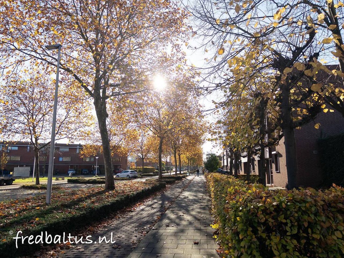 Fred Baltus tweet media