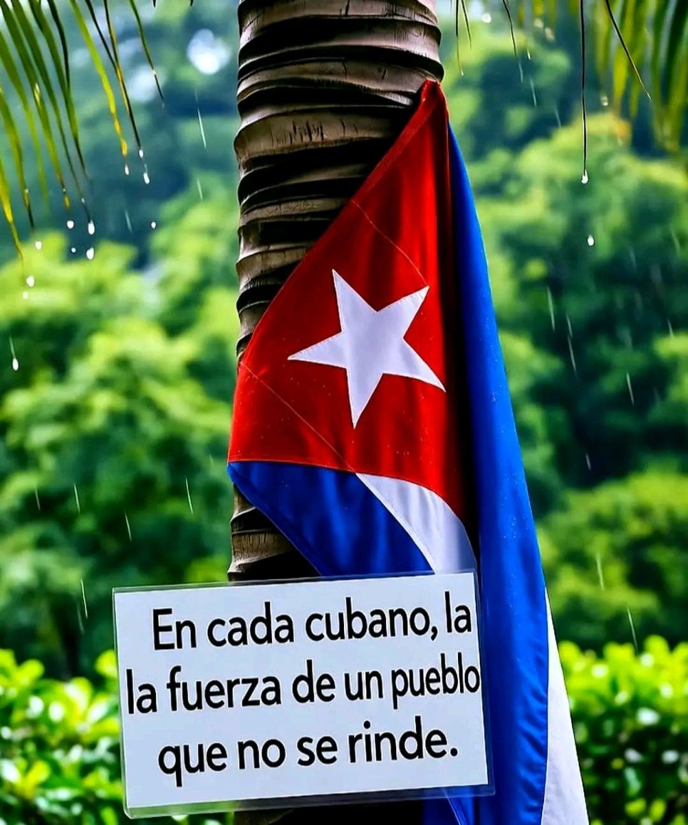 MryRodrguez4's tweet image. ¡Aquí nadie se raja!
#FuerzaCuba