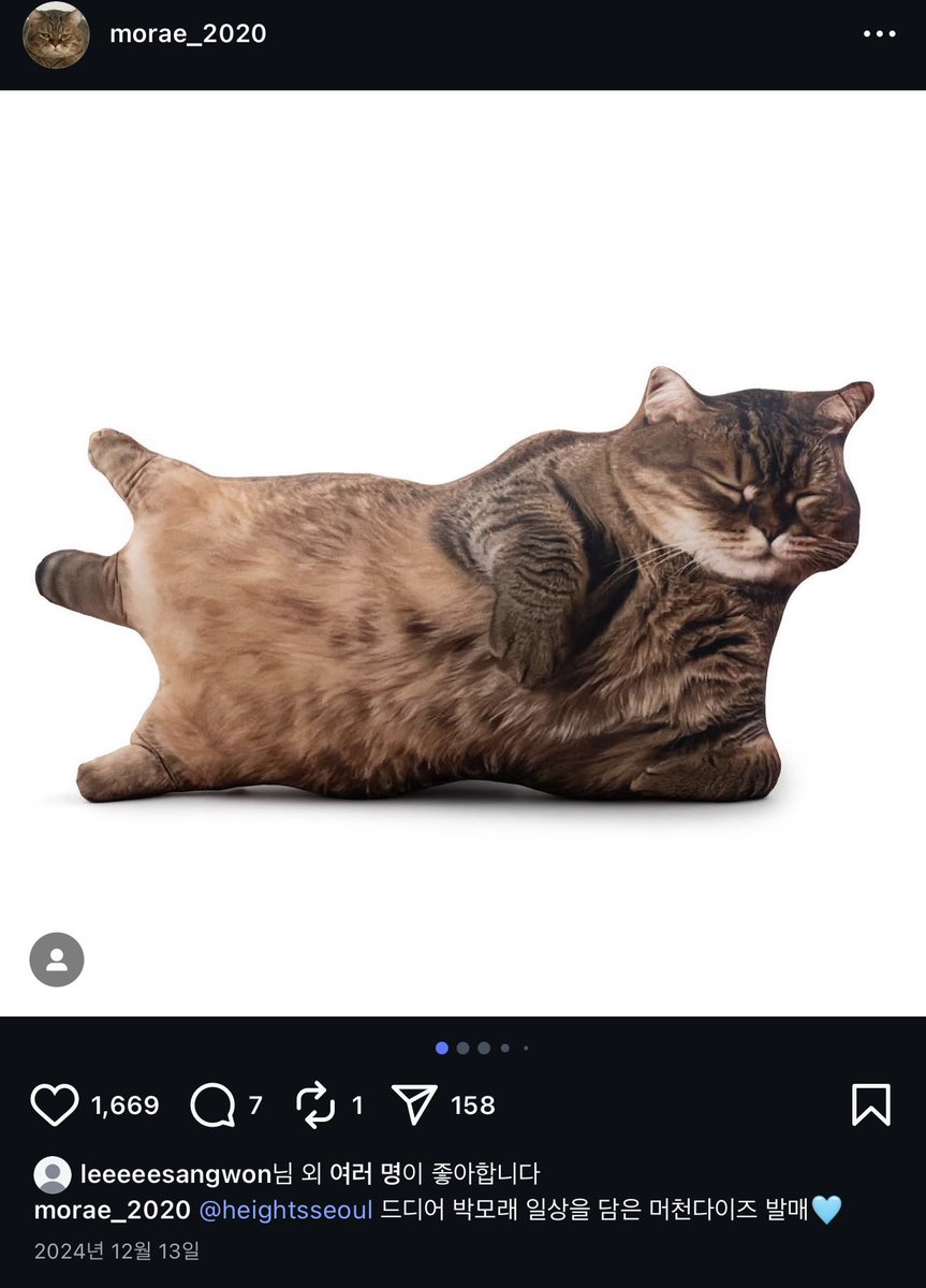 サンウォンのベットにあった猫のクッション@/morae_2020のグッズなん