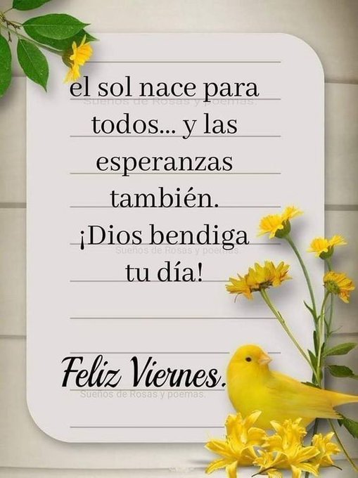 A light beige background with wooden texture features centered text reading el sol nace para todos... y las esperanzas también. ¡Dios bendiga tu día! Feliz Viernes. Surrounding the text are clusters of yellow flowers and green leaves. A small yellow bird perches near the bottom right. The composition is balanced with natural elements enhancing the motivational message.