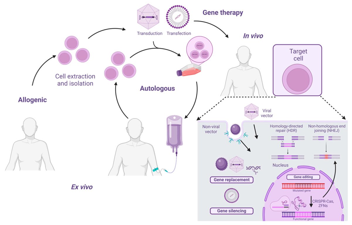 #MostRead
📑Nanotheranostics Revolutionizing Gene Therapy: Emerging Applications in Gene Delivery Enhancement

📝 by Juan C. Cruz and et al.

🔗brnw.ch/21wXi0H
