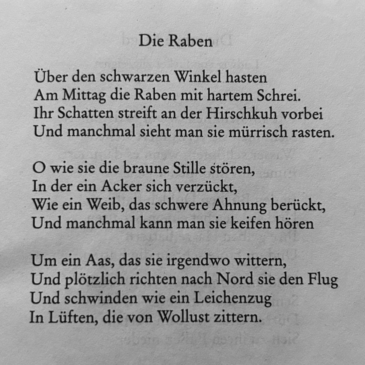 さとう tweet media