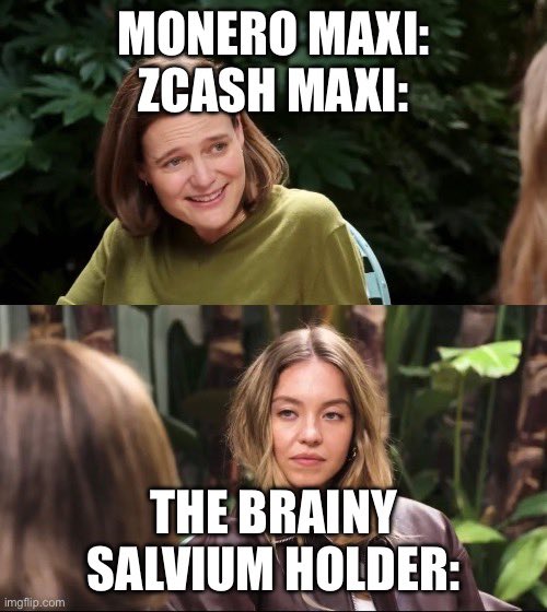 While the Monero and Zcash maxis are busy in a bunfight about whose tech is better, Salvium’s $SAL in the background, going full Sweeney mode.
$XMR $ZEC