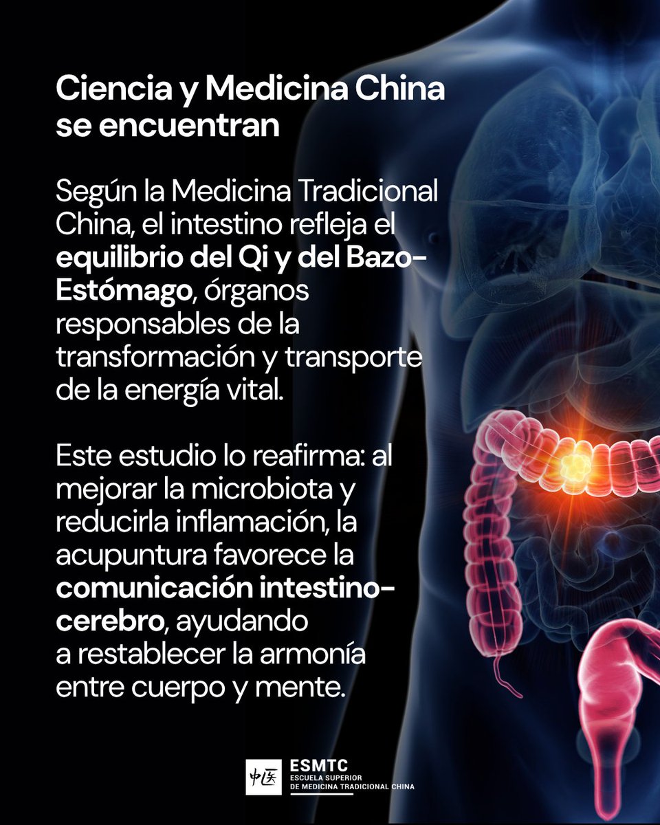ClinicasGAM's tweet photo. ¿Sabías que la acupuntura puede mejorar tu salud intestinal?

Un estudio reciente muestra que equilibra tu microbiota, aumentando bacterias buenas y reduciendo las malas.

¡La ciencia lo confirma!

#Acupuntura #SaludDigestiva https://t.co/eHHLoXmz8i