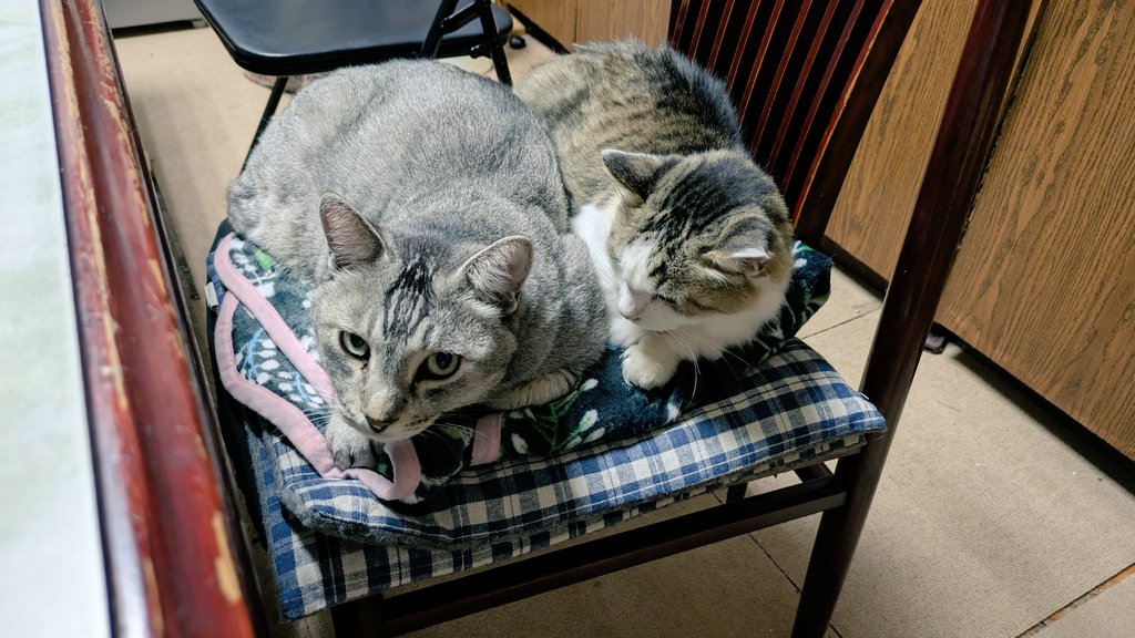 みわ みぞおち (@2610Am) / Posts / X みわ みぞおち (@2610Am) / Posts / X