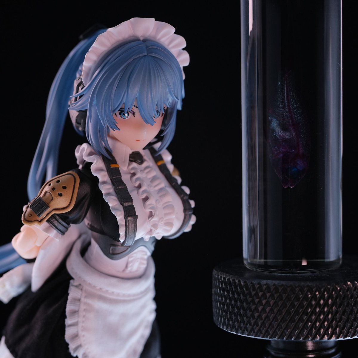 レア✨韓国苗　アドロミクスクス　フィリカウリスレッドスポット 抜き苗 レア✨韓国苗 アドロミクスクス フィリカウリスレッドスポット 抜き苗