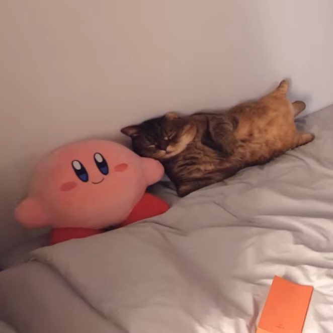 ALD1 サンウォン 猫 クッション サンウォンのベットにあった猫のクッション@/morae_2020のグッズなん