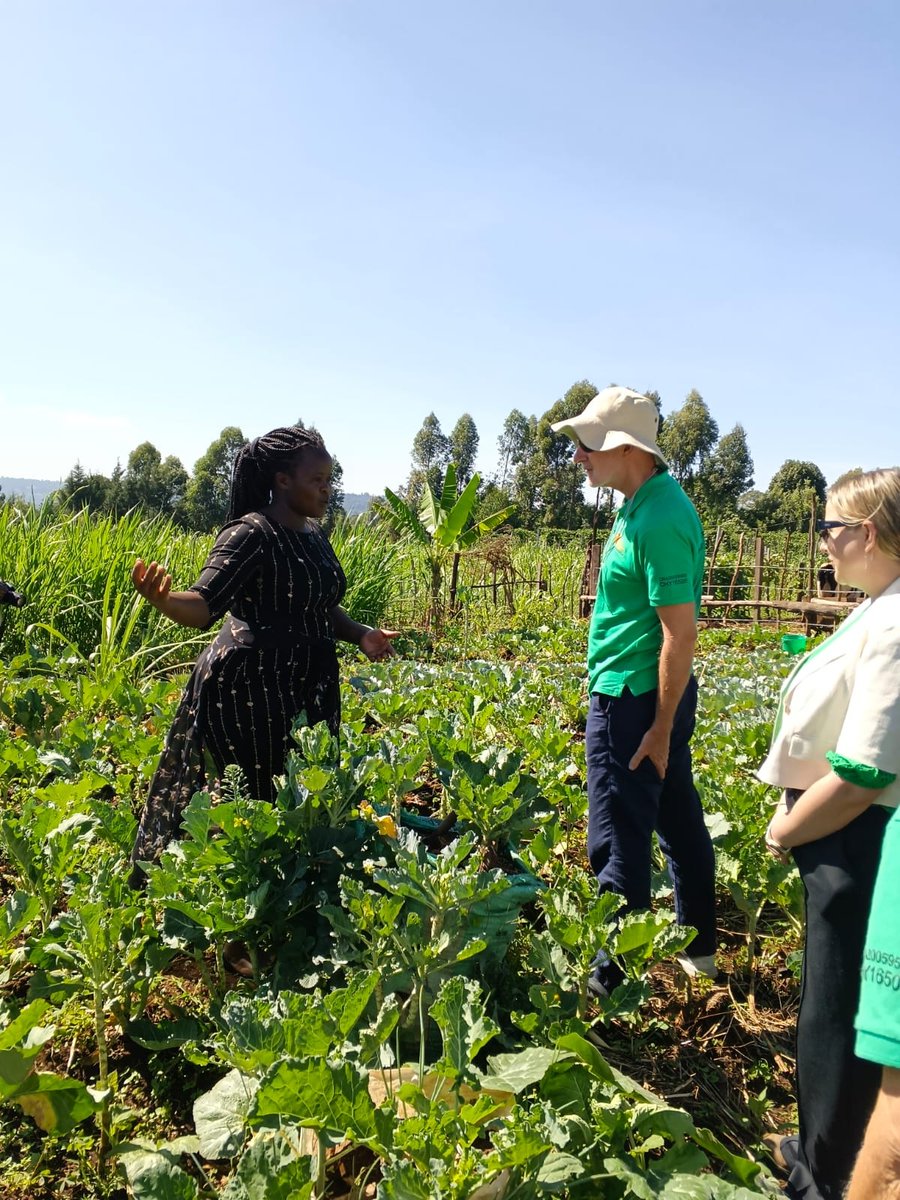 4abrighterworld's tweet photo. Today we travelled with Evelyn Maris (Deputy Irish Ambassador to Kenya) and our Harambee team to Naima's home to see how our climate change programme has impacted her farm 🌾 https://t.co/OGiBroeoSx