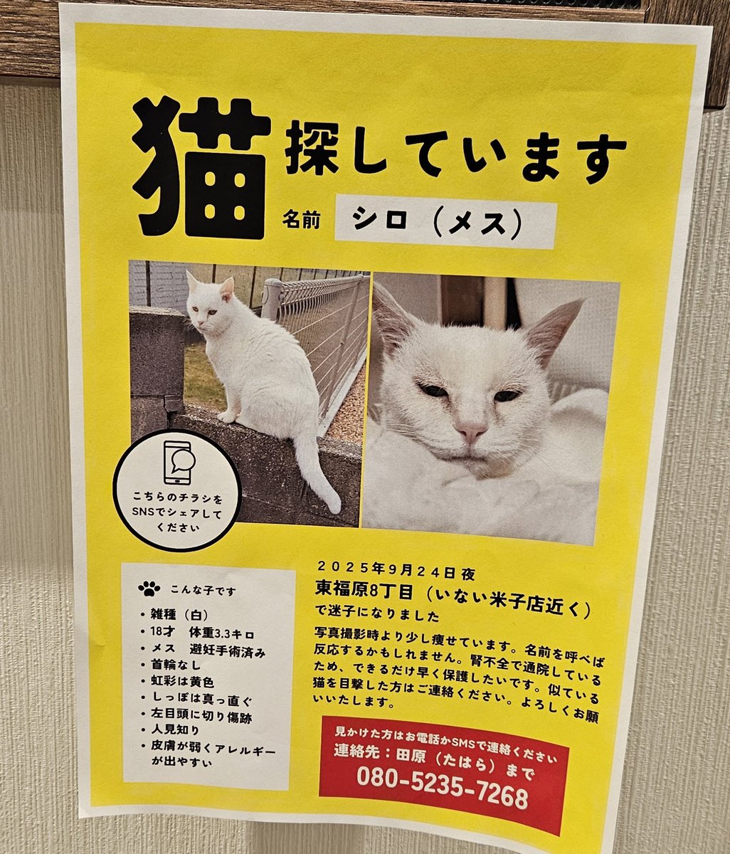 Hirose ～⭕プロフ見て⭕最新　0206 早瀬⚖️📿 on X