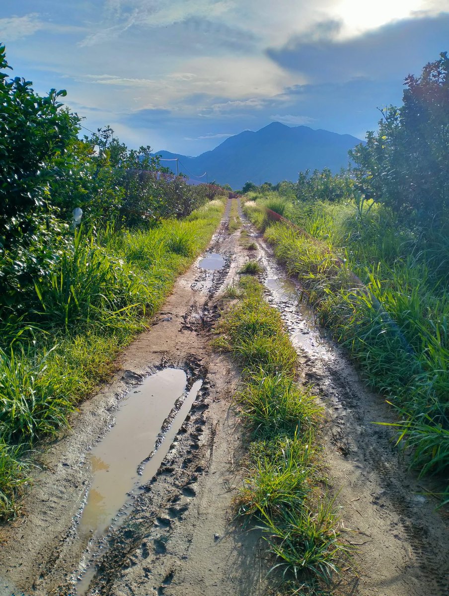 Trước và sau bão ở Moshav