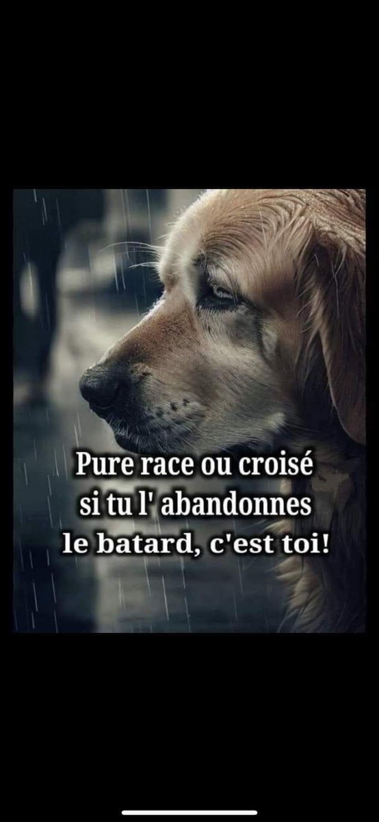 branlant jocelyne tweet media