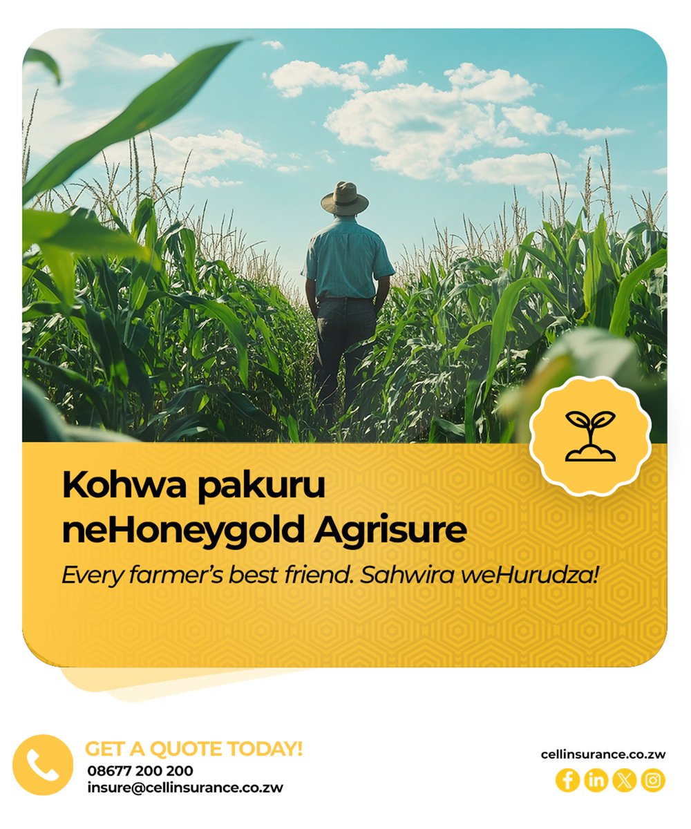 CellInsurance1's tweet image. Varimi, chengetedzai goho renyu ne HoneyGold Agrisure.
Your trusted partner, every step to a bumper harvest.
#CellInsurance #HoneyGoldAgriSure #SahwiraWeHurudza