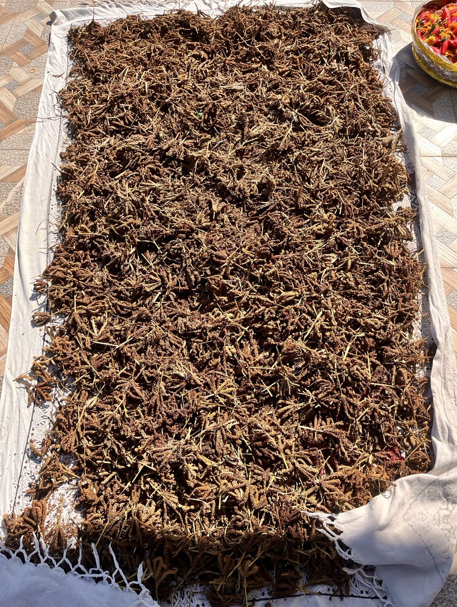 Guess karo ye kya hai ☺️