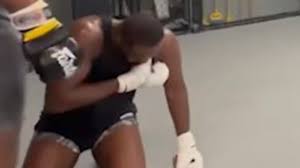 RedWolf🐺 tweet media