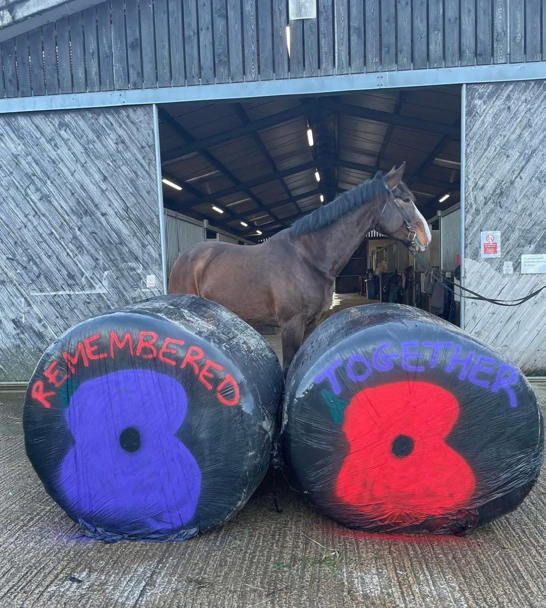 Wow. Brilliant! 👏 🌺