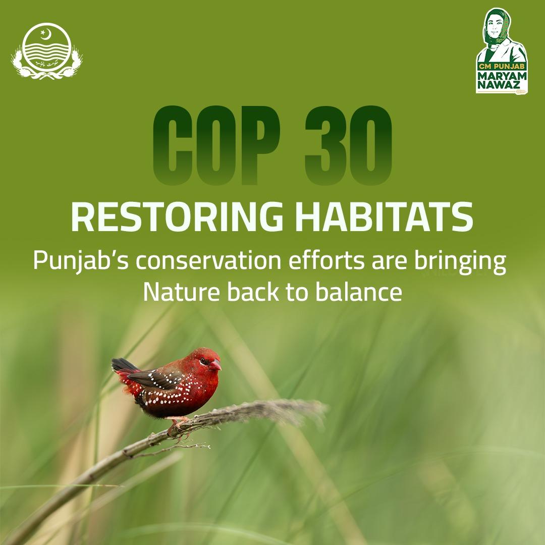 Fn_says's tweet photo. From COP 30's urgent call to heal our lands,Punjab's mission for nature firmly stands.With dedicated efforts to restore life's space.They are bringing back balance and natural grace.
#PunjabAtCOP30 https://t.co/Dygw9Elin4