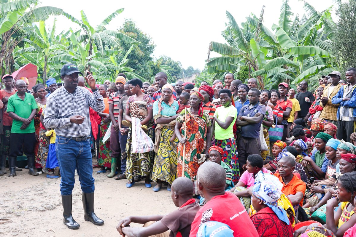 Musanze District tweet media