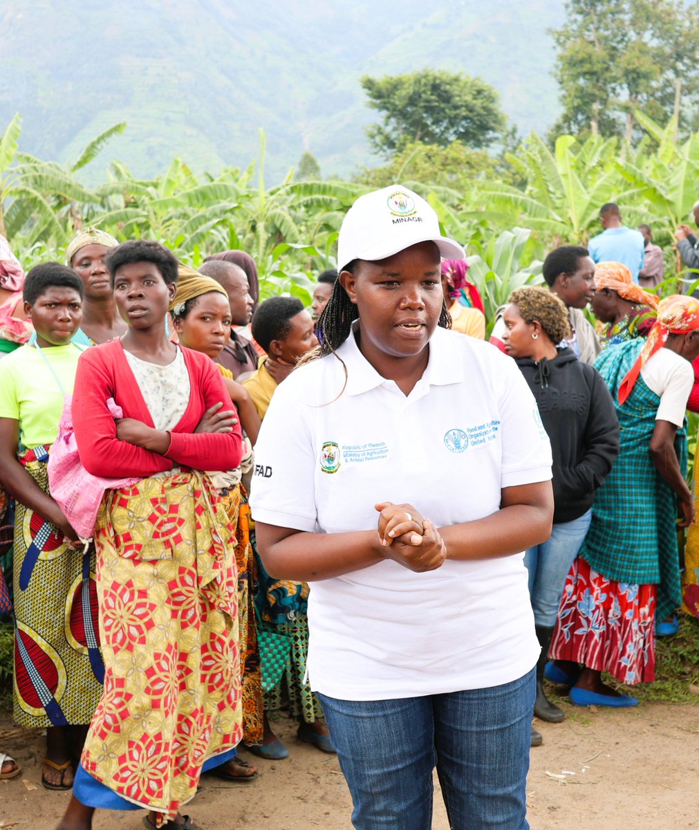 Musanze District tweet media