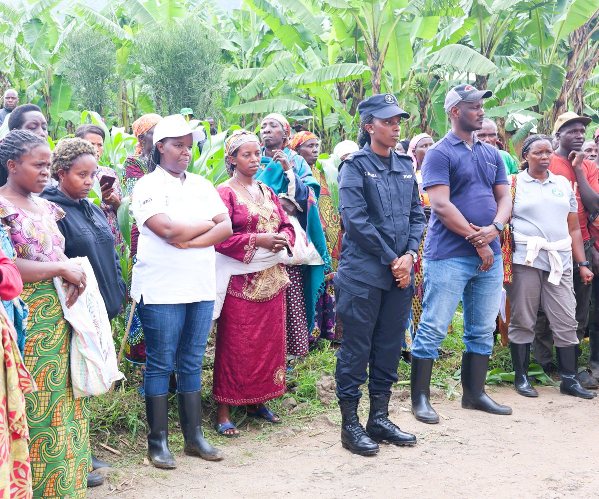 Musanze District tweet media