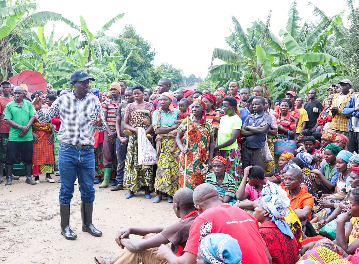 Musanze District tweet media