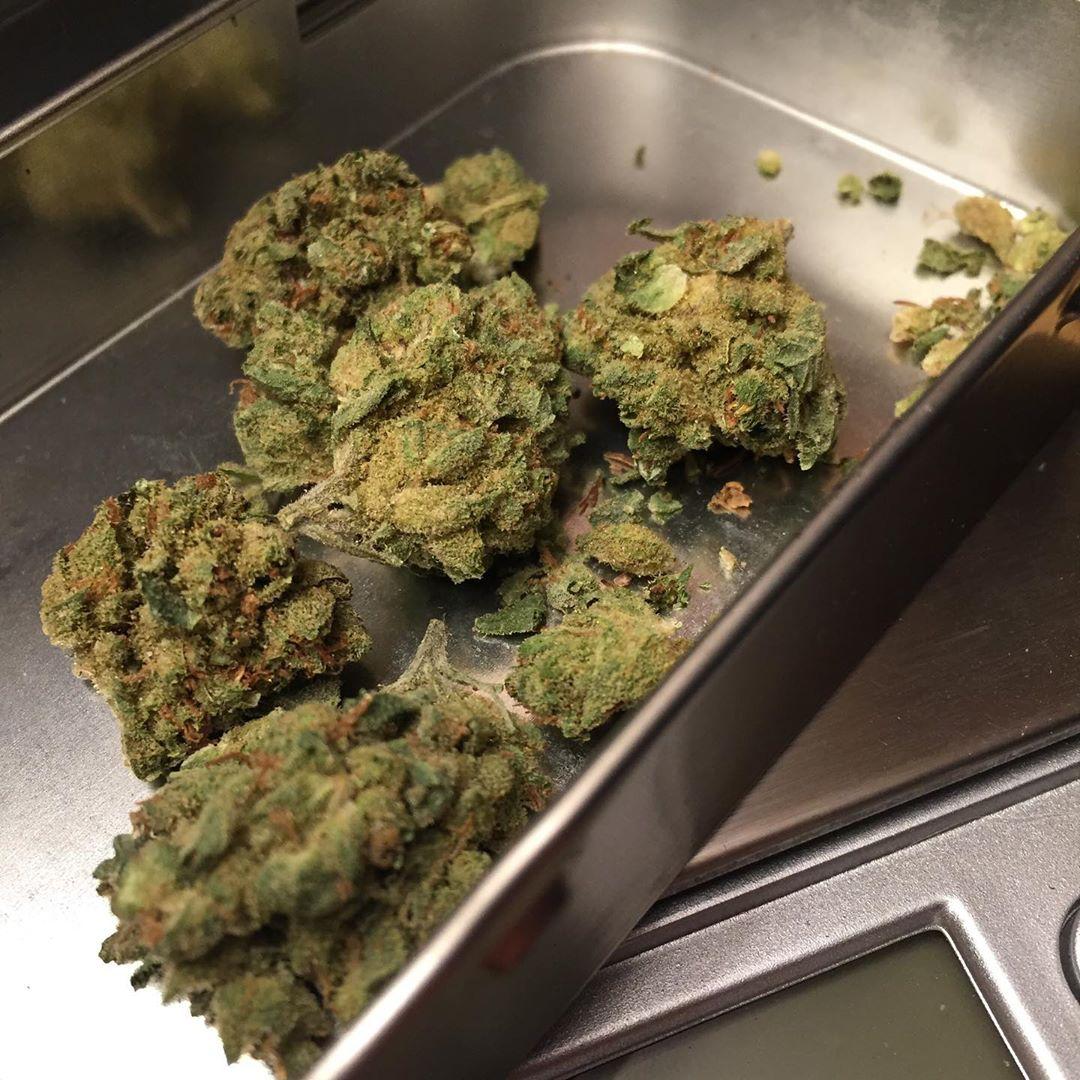 PlugTasha's tweet image. We have brought back thc infused gummies with improved quality and no more sour kicking taste.
#weed #kenya #uganda #kampala 
#2025