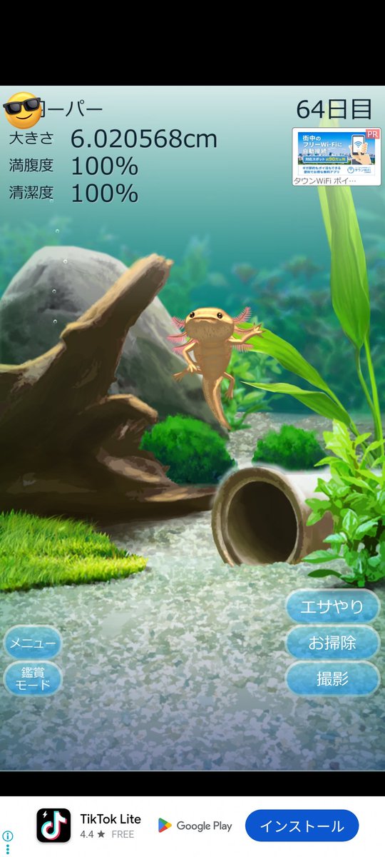 batttch_special's tweet photo. 彼女に餌やった？言われて超焦って見たら完全体で生きてた。奇跡 https://t.co/IQE3o5JkFO