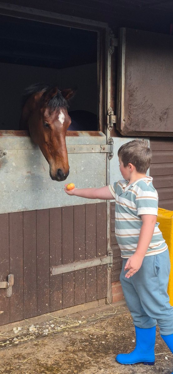 #GoRacingGreen Official (Debbie Matthews) tweet media