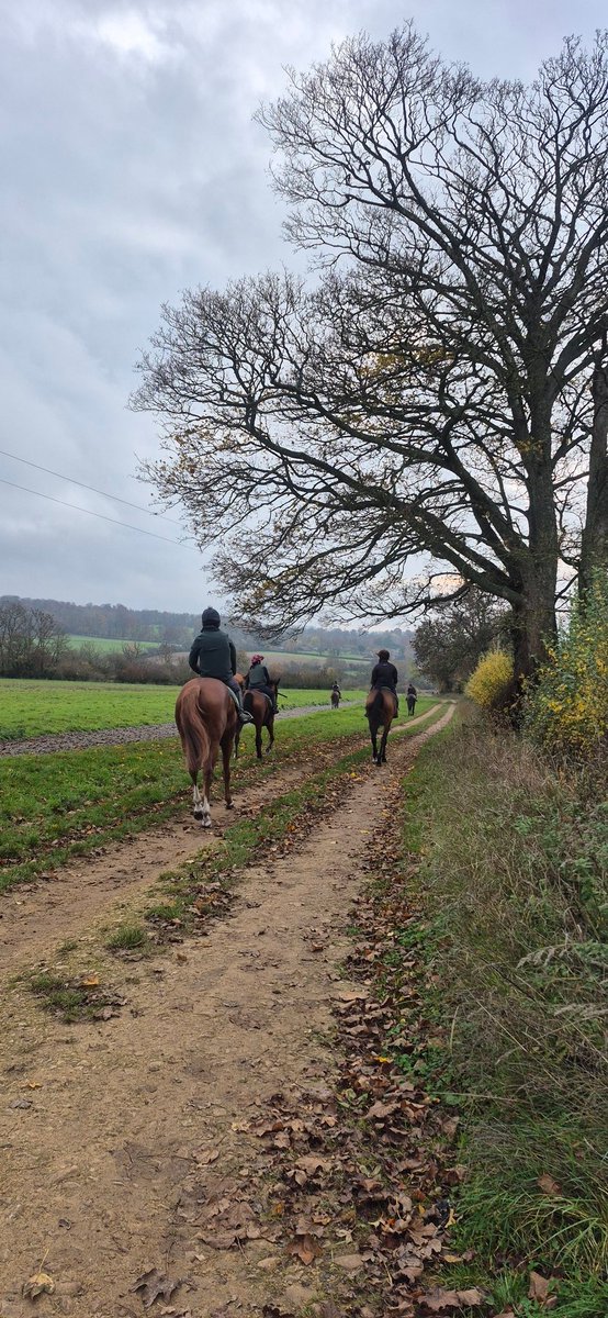 Thank you so much to <a href="/RTPhillips1/">Richard Phillips Racing</a> for a wonderful <a href="/UnibetRacing/">Unibet Racing</a> ##GoRacingGreen stable visit this morning 💚

#MentalHealthAwareness