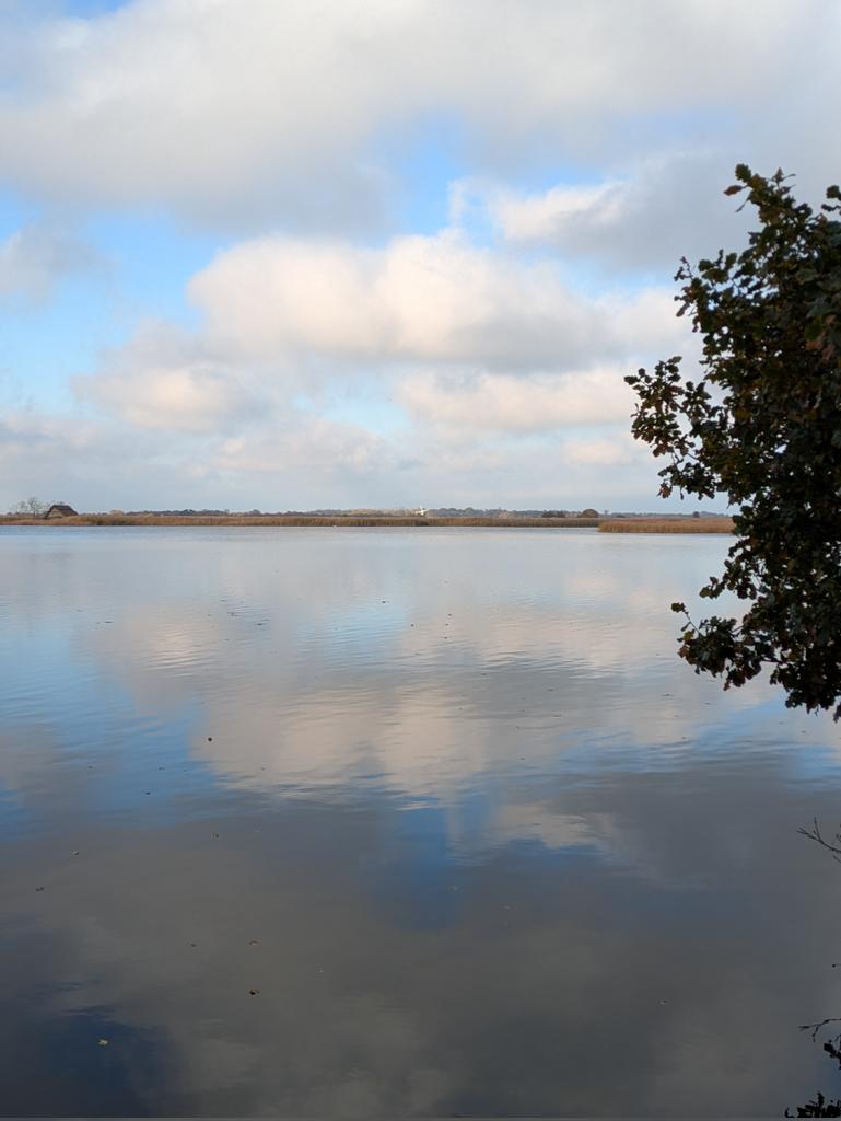 View from #Norfolk this afternoon