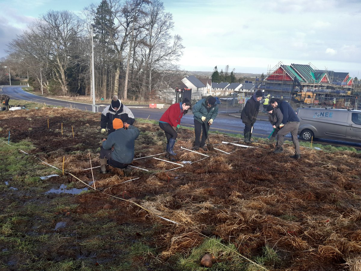 SRUC's tweet image. Staff and students at our Aberdeen have planted a new Wee Forest, a mini-woodland designed to boost biodiversity and capture carbon.

The project builds on former Wildlife &amp;amp; Conservation student Mike Raby’s Honours research 

Read more 👉 buff.ly/SdvrPgz 

@TheTreeCouncil