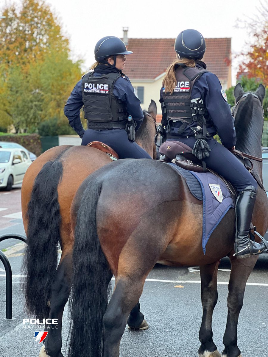 #ContreLesCambriolages | Hier après-midi, les cavaliers de la brigade équestre 🐴 de la <a href="/PoliceNationale/">Police nationale</a> de l'#Essonne étaient engagés avec les effectifs locaux afin de lutter contre les cambriolages sur <a href="/villemorangis/">Ville de Morangis</a>.
🚨 Victime ou témoin ?
➡ #Appel17
