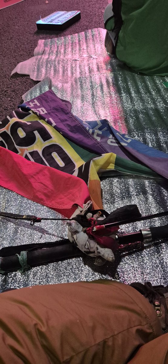 지난겨울 내가 감당할 수 있는 작게 만들어 맞춰서 광장에서 윤석열을 몰아낸 깃발인데 ㅠㅠ
깃대가 3조각 남
경찰놈들 너무 하는 거 아님