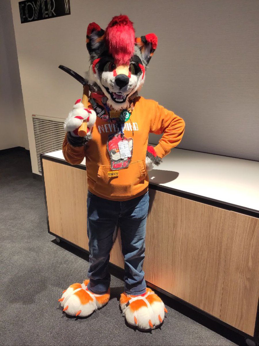 Ruvy_The_Wolf's tweet photo. Time to go mining some gold in the FBL ^^
Also happy #FursuitFriday, it’s been a while

Fursuit head by @schmiggot 
Fursuit paws by @VarrosCreations 
Photo made by a friend https://t.co/QmYbNI3IiC