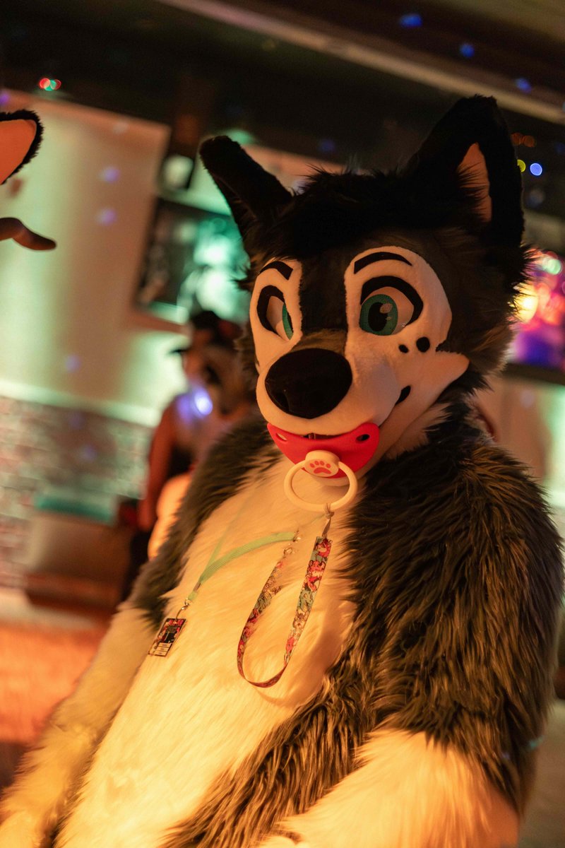 KodiakFusky's tweet photo. Uwu hello there :3
Photo by Keksi
keksidragon@instagram
keksi@furtrack https://t.co/Byjw8A4So7