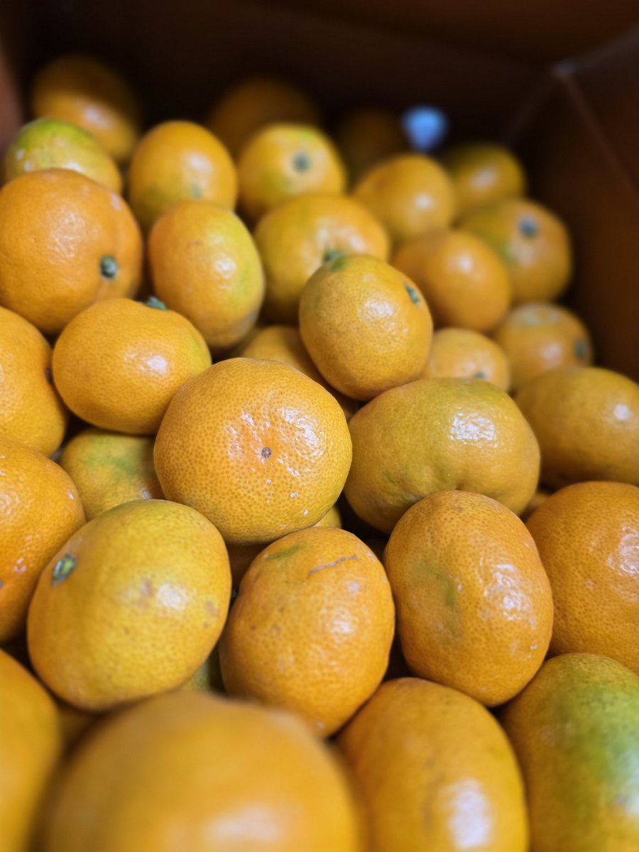 5,4,3)73୧⍤⃝🍒 on X